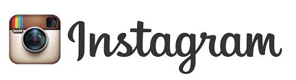 insta logo4